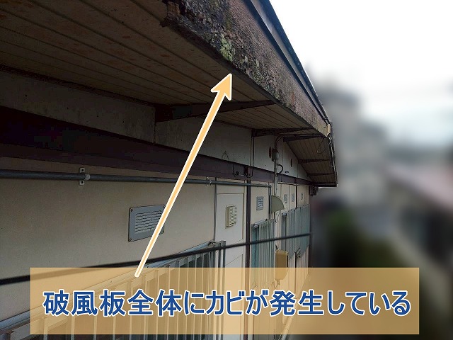 郡山市にて住宅と倉庫をまとめて点検 破風や屋根の傷みが気になり始めた方へ