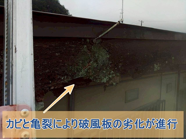 カビと亀裂で破風板の劣化が進行している様子