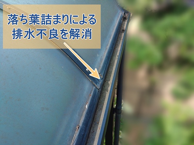 いわき市にてサンルームと住宅の雨樋清掃を実施！落ち葉詰まりを解消しました