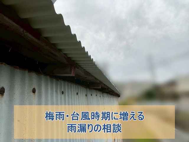 梅雨・台風時期に増える雨漏りの相談