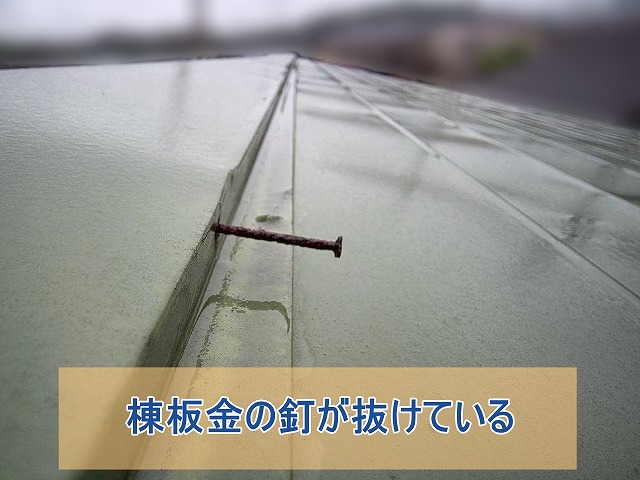 棟板金の釘が抜けている