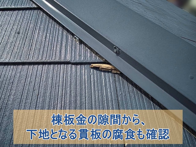 棟板金の隙間から下地となる貫板の腐食も確認