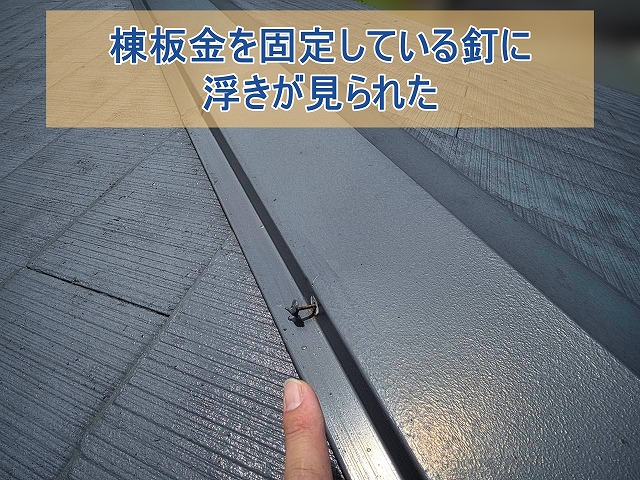 棟板金を固定している釘が浮いている様子