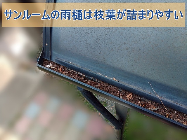 サンルームの雨樋に枝葉がたくさん詰まっている