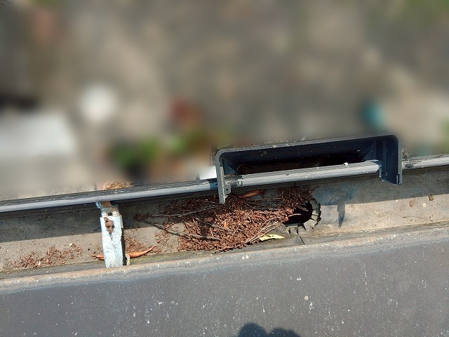 1階の清掃前の雨樋の様子