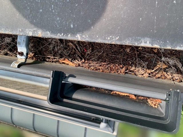 ２階の集水器に落ち葉が詰まって雨水が排水されない様子