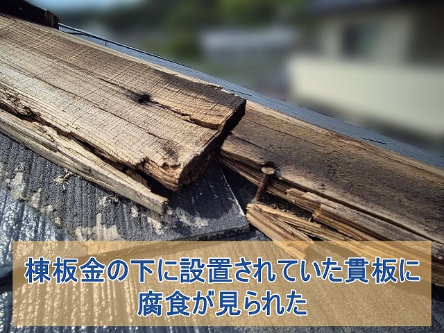棟板金の下に設置されていた貫板に腐食がみられた