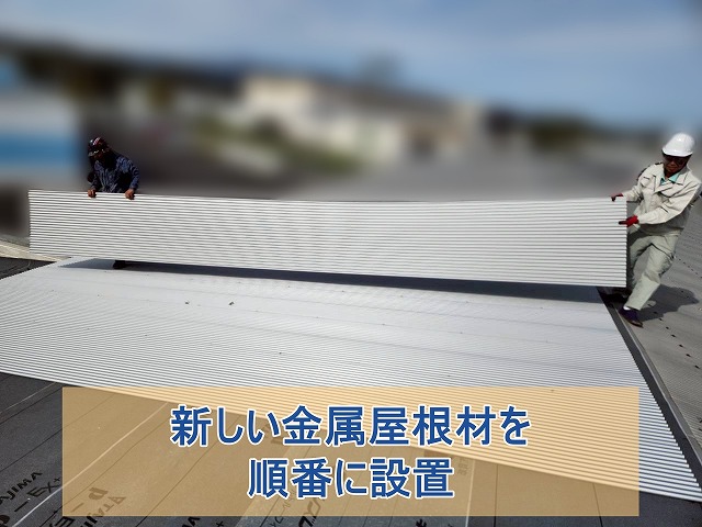 新しい金属屋根材を順番に設置