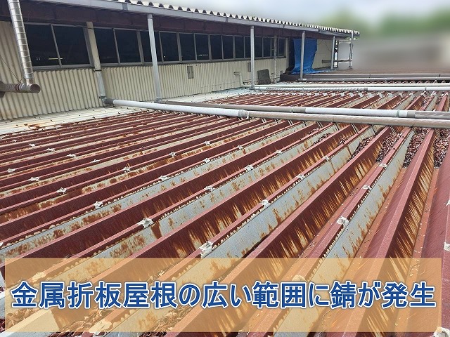 いわき市勿来 金属折板屋根の広範囲に錆が発生している
