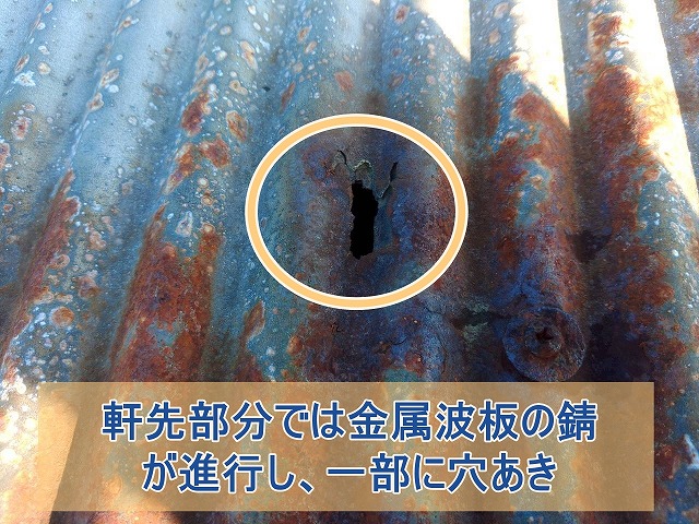 軒先部分では金属折板屋根の錆が進行し、一部に穴あきが見られる
