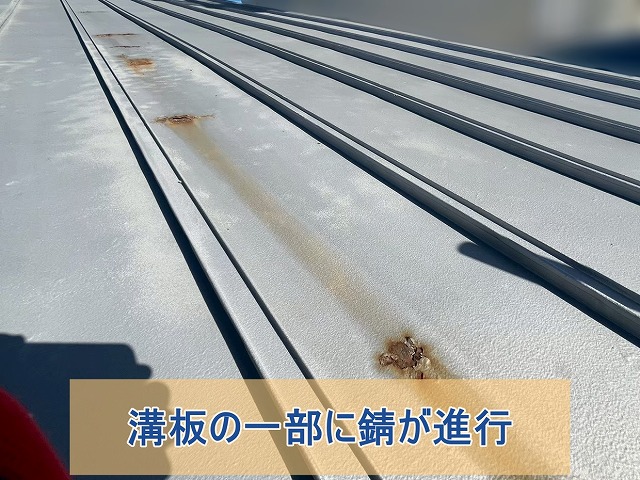 いわき市にて公共施設の屋根に小さな穴と広がる錆 早めの点検をお考えの方へ