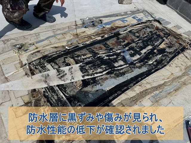 防水層に黒ずみと傷みが発生