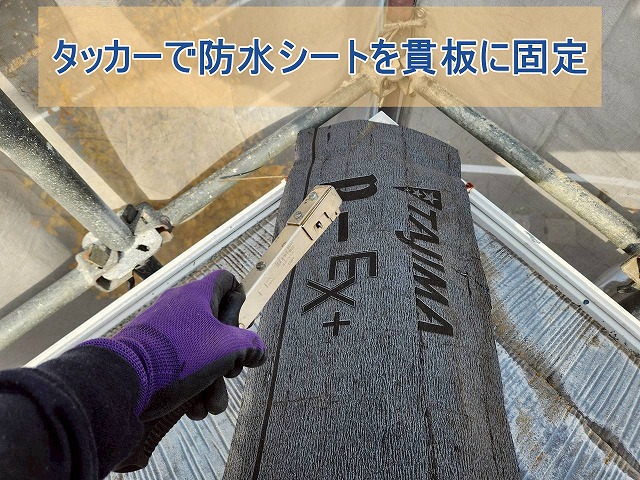 タッカーで防水シートを貫板に固定