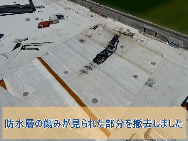 防水層の傷みが見られた部分をカットする