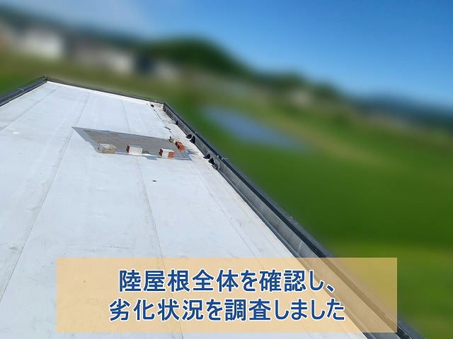 陸屋根全体を調査し劣化状況を確認