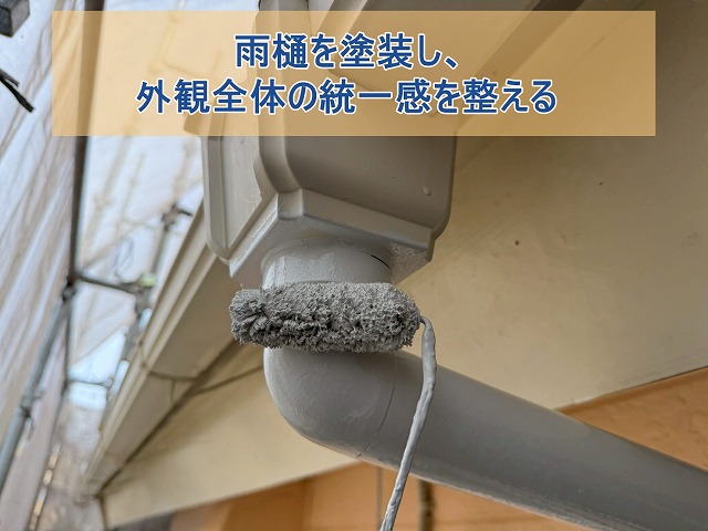 雨樋を塗装し、外観全体の統一感を整える