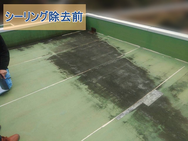 シーリング除去前の陸屋根