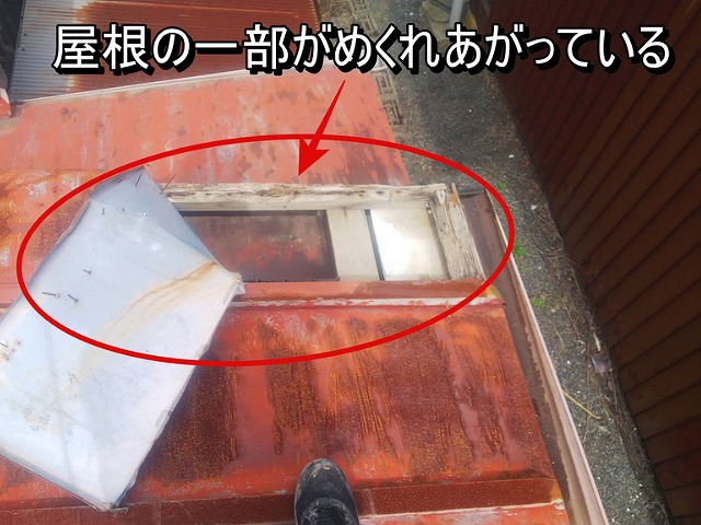 板金屋根がめくれあがって飛びそうになっている