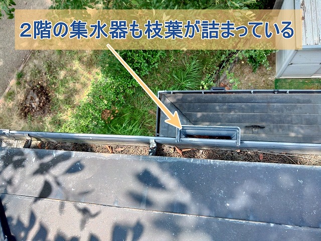 ２階の集水器にも枝葉が詰まっている様子